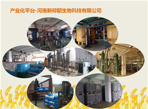 河南新仰韶生物科技有限公司