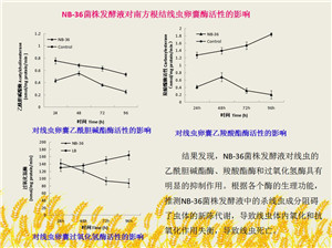 河南新仰韶生物科技有限公司