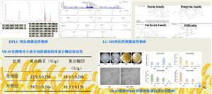 河南新仰韶生物科技有限公司