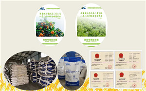 河南新仰韶生物科技有限公司
